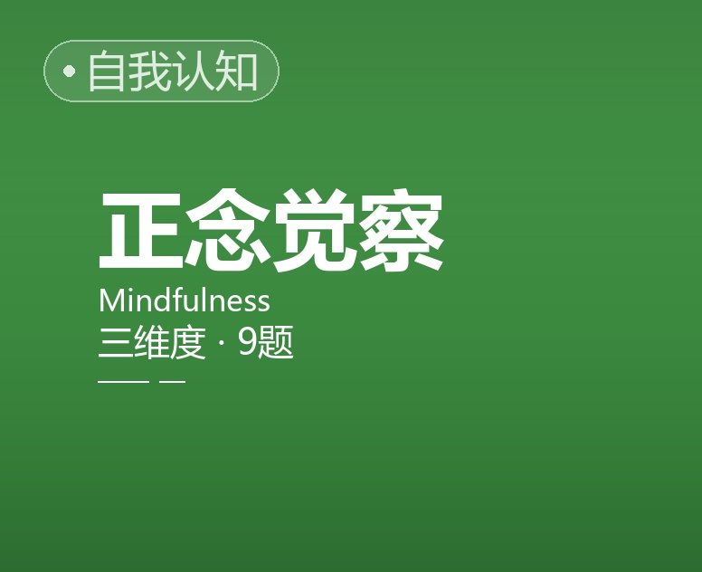 正念/觉察简表